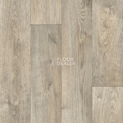 Линолеум IVC Inter TAVEL 539 фото 1 | FLOORDEALER